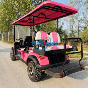Custom ized Beliebteste Golf Cart Classic Elektro-Golf wagen für <span class=keywords><strong>2</strong></span> 1 6-Sitzer Hochleistungs-Jagd Golf Buggy zum Verkauf - Product Image 4