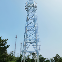 Tour de surveillance en treillis d'acier structurel haute résistance galvanisé à chaud anticorrosion, durée de vie de plus de 30 ans