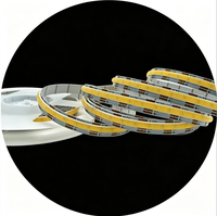 Bande lumineuse COB bicolore 12V 8mm 576 LED/m 3000K-6000K Blanc chaud Blanc IP20 Silicone auto-adhésif pour décoration Populaire