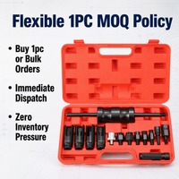 Kit d'outils professionnel 14 pièces pour extracteur d'injecteurs diesel Bosch Denso Siemens, extracteur de rail commun robuste, prêt à être expédié, 1 pièce MOQ