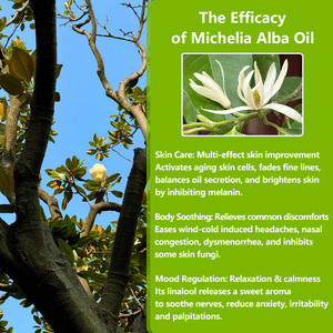 น้ำมันหอมระเหยกลิ่นแมกโนเลียสำหรับเครื่องสำอางน้ำมันหอมระเหยกลิ่นแมกโนเลียสารสกัดจากพืชจีน10ปี - Product Image 5