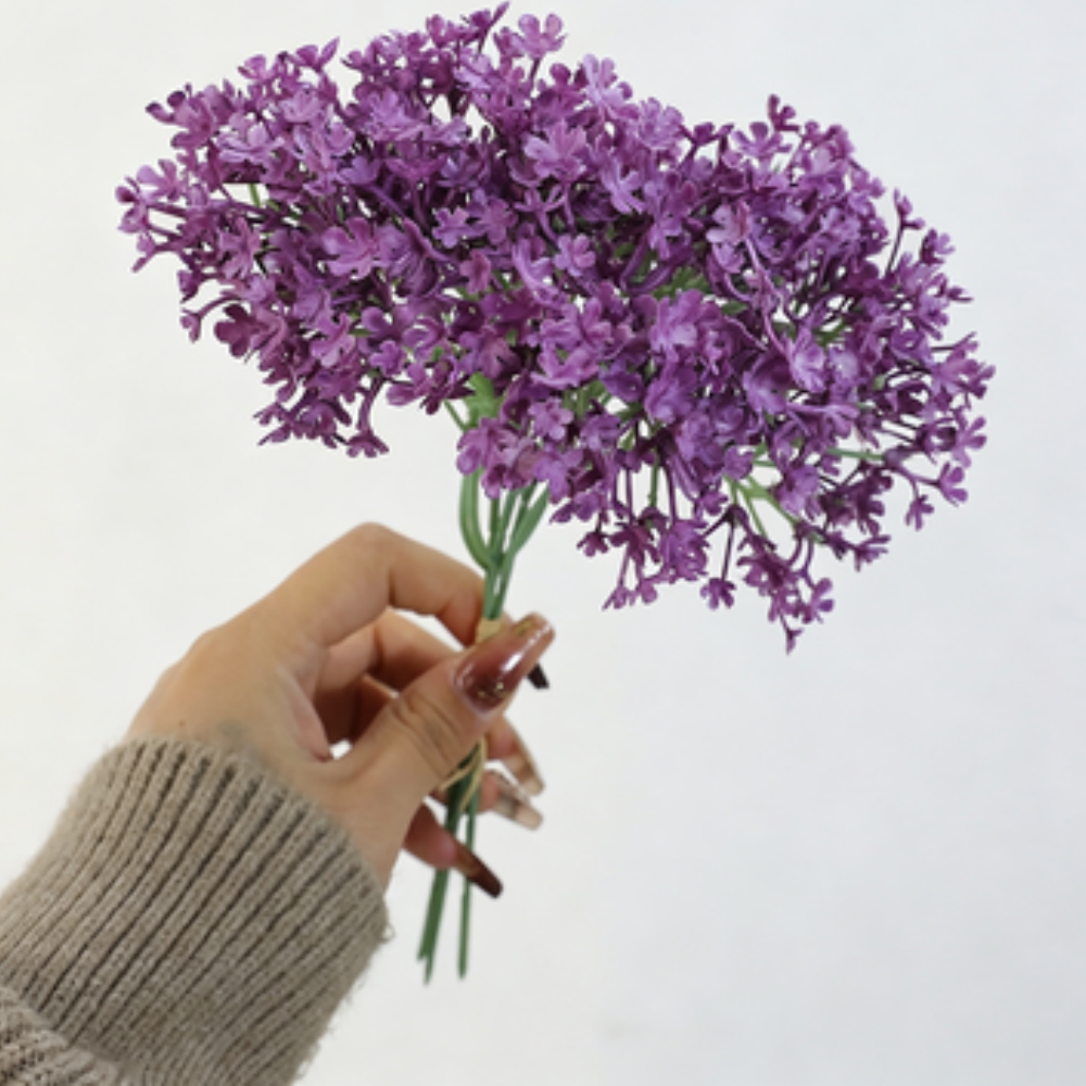 Pourpre