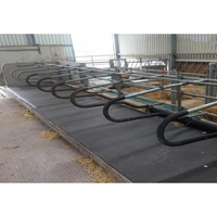 Abri pour bétail rural robuste et de grande capacité