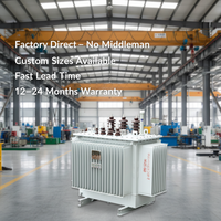 Transformador de Potencia Trifásico Vertical de Alta Tensión 10KV S11/S13/S20 Sumergido en Aceite 50/400/630/800KVA con Doble Envoltura de Cobre y Aluminio