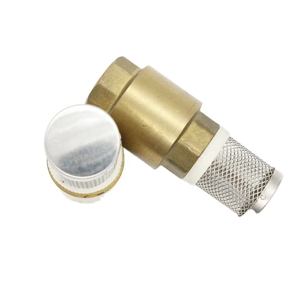 Green Valve High Quality Brass spring vertical foot check valve with Stainless steel filter for water pump