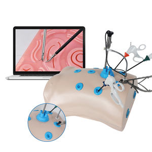 Conjunto De Caixa De Treinador Laparoscópica Simulador Laparoscopia Caixa De Treinamento De Porto Único Abdominal Laparoscópica - Product Image 3