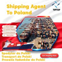 Agente de envío Polonia Envío marítimo Puerto de Szczecin Logística Envío Transportista Transporte aéreo Envío de carga
