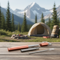 Accessoires de voyage écologiques de haute qualité Paille télescopique en acier inoxydable Pailles réutilisables