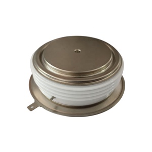 Bgr25-1600.1 Mô-đun Chuyển Mạch 2800V <span class=keywords><strong>Thyristor</strong></span> Scr - Product Image 4