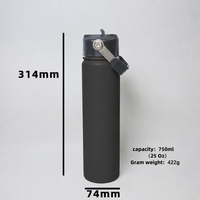 Bouteille d'eau isotherme portable en acier inoxydable pour adulte, 750 ml, anti-fuite, avec paille et poignée, idéale pour la randonnée et le camping
