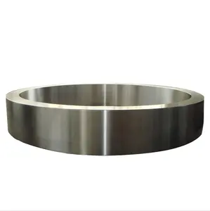 304 di forgiatura 316 acciaio inossidabile di dimensioni pesanti anello di contenimento/2205 in acciaio inox anello di fissaggio