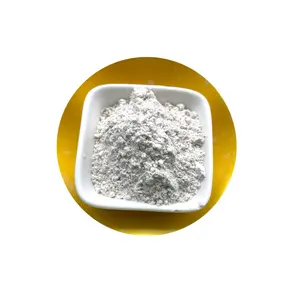 ポリプロピレンCAS 9003-07-0 PROPYLENE RESIN Micropowder