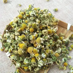 حار بيع الطبيعية رخيصة الألمانية البابونج المجففة البابونج شاي بالأعشاب المزهرة