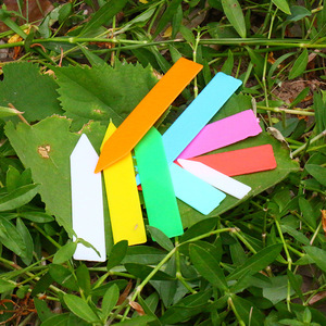 One Shape colorido plástico horticultura flor planície planta suculenta etiqueta, Garden Stake Tag, marcador de sementes/branco estacas planta - Product Image 6