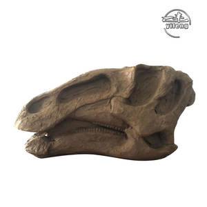 Répliques de squelette grandeur nature modèle squelette de dinosaure os de dinosaure pour musée - Product Image 5