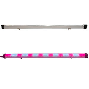 مخصص تحت الكانبي x4 طيف كامل أحمر بعيد 2w samm301b 281b تحت مظلة أضواء Led تنمو شريط R2t W V للنباتات - Product Image 3