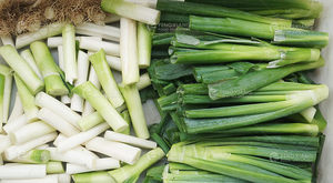 Máy cắt Tỏi tây cần tây kép công nghiệp với cắt gốc băng tải và cắt phân đoạn - Product Image 3