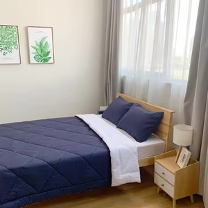 90x90inch tất cả các mùa Duvet chèn Trắng Comforter bảo vệ chống lại mạt bụi và chất gây dị ứng - Product Image 3