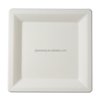 Vente en gros d'assiettes jetables biodégradables de canne à sucre de 10 pouces conception compostable carrée pour le camping plateau de dîner