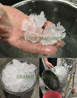 Machine à Mélanger les Fruits et la Glace 30L, Prix Usine, pour Smoothies, Milkshakes et Pâte de Haricot Mungo, Moteur à Composant Principal