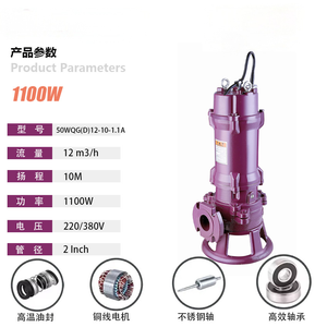 Petite pompe à eau submersible en acier inoxydable pour l'irrigation et les eaux usées, contrôle entièrement automatique ultra-précis, garantie 2 ans - Product Image 4