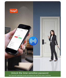 Luxury Modern <b>Smart</b> Lever Handle <b>Lock</b> with Video Intercom 3D Face Recognition for Modern Home <b>Security</b> - Product Image 4