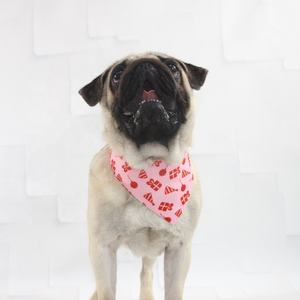 בנדנות כלבים בהתאמה אישית בצבע כחול עם הדפס פרחוני, עשויות כותנה/פוליאסטר/סאטן, לקישוט מסיבות חיות מחמד, סיטונאי, קיץ - Product Image 3