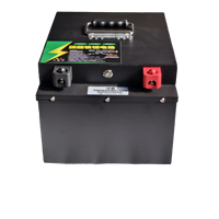 Batterie au lithium rechargeable 48V200Ah pour trottinette électrique, couleur personnalisée, style unique, texture premium et personnalisation sur mesure