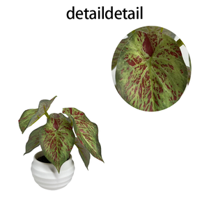 Serpent artificiel plante bonsaï <span class=keywords><strong>Sansevieria</strong></span> intérieur/<span class=keywords><strong>extérieur</strong></span> résistant aux UV écologique durable de haute qualité taille personnalisable maison - Product Image 3