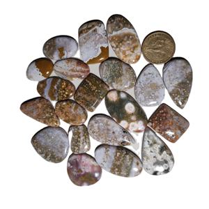 หินจัสเปอร์ทรงหลังเบี้ยจากทะเลธรรมชาติคุณภาพระดับ AAA + อัญมณีหลวมสำหรับทำเครื่องประดับราคาขายส่ง - Product Image 2