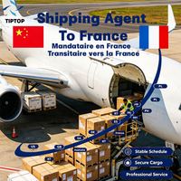 Agente de envío Francia Flete aéreo Puerto de Marsella Fos Fedex Agente de envío Ddp Envío marítimo Servicio de almacenamiento