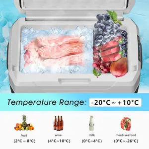 WAYCOOL AXR50 50L Compressor Mini Car Fridges Camping Portable Freezer Dual Core With Control Panel For Outdoors Refrigerator