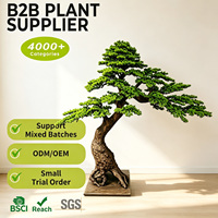 Arbre artificiel en forme de S spectaculaire, faux cyprès bonsaï de 200 cm avec base carrée pour la décoration de galeries d'art, musées et places d'entreprises