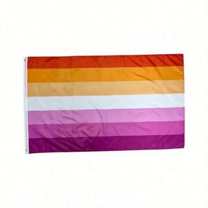 Bandera Impermeable de Poliéster de 3x5 pies con Diseño del Progreso del Orgullo Lésbico y Gay, con 2 Ojales de Latón, Logotipo Personalizado, Estilo Portátil para Colgar - Product Image 1