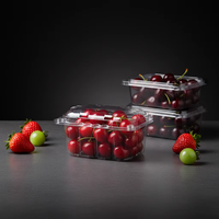 Boîte en plastique PET pour l'emballage des fruits rouges, tomates cerises, raisins, conteneur d'emballage en blister personnalisé en forme de coquille, fabriqué à Qingdao