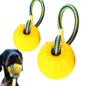 Wholesale 2026 New Eco Friendly Pet Interactive Throw EVA Floating Bouncy Hollow Solid <b>Dog</b> Training <b>Ball</b> Toys for Pets - Product Image 2