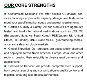 Onduleur solaire <span class=keywords><strong>hybride</strong></span> 11 kW 10 kW 48 V, bornes robustes, onduleur <span class=keywords><strong>hybride</strong></span> hors réseau 20 kWh, connexion sécurisée, courant élevé - Product Image 5