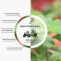 Huiles essentielles de marjolaine douce 100% pures et naturelles (Origanum majorana) pour l'aromathérapie, les soins de la peau, les diffuseurs et les massages corporels.