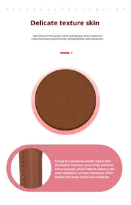 Neues Modisches Hunde-Anti-Verlust-Halsband mit 360-Grad-Schutz aus Rindsleder & PU, Rundes Seil-Halsband für Ganzjahresnutzung - Product Image 5