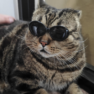 Lentes de Sol para Mascotas, Gafas de Sol para Perros y Gatos, Gafas de Cosplay para Cachorros y Gatitos - Product Image 2