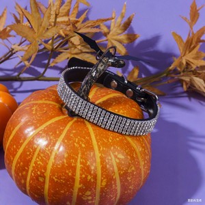 Collar Personalizado para Mascotas con Pedrería, Campana de Calabaza, Ajustable para Gatos y Perros, Diversión de Halloween, Talla Única, Naranja Sólido - Product Image 3