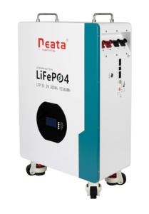 Low Price 51.2v <b>48v</b> 230Ah 300Ah 314Ah 11kWh 15kWh 16kWh Wall Mounted Lithium Solar Energy Storage System <b>Battery</b> - Product Image 3