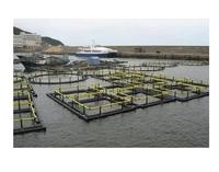 Cage de pêche carrée en Hdpe 6x6m, Cage flottante pour la pêche en rivière ou en lac