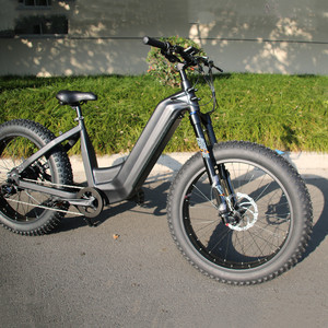 Bicicleta Eléctrica con Motor Trasero de 750W, Batería de 48V 15Ah/30Ah, Velocidad de 50KM/H, HD750 750W Motor Trasero - Product Image 5