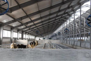 डेयरी पशु फार्म हाउस के लिए 50 साल की सेवा जीवन के साथ पूर्ण सेट आधुनिक हल्के स्टील फार्म निर्माण उपकरण - Product Image 3