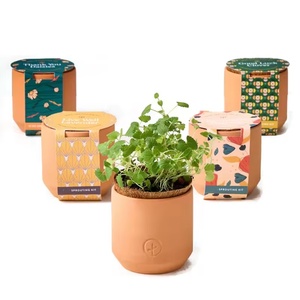 Kit de démarrage d'herbes d'intérieur en terre cuite minuscules marguerites <span class=keywords><strong>lavande</strong></span> coquelicots et trèfle 4 acceptent le kit de culture de jardin d'herbes bricolage personnalisé - Product Image 1