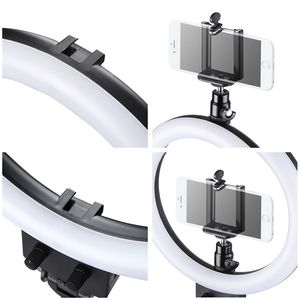 Anneau lumineux LED dimmable Db 12 pouces en aluminium avec télécommande, éclairage vidéo portable pour téléphone, ordinateur portable et utilisation en extérieur - Product Image 5