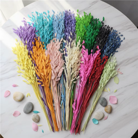 Petite herbe de l'espoir, fleur préservée, matériau naturel frais pour les bouquets ménagers et les articles de décoration intérieure