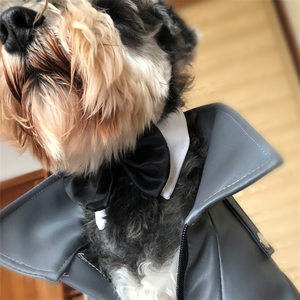 Colliers à nœud papillon pour chiens, nouveauté, vente en gros directe usine, pour banquets et fêtes - Product Image 3