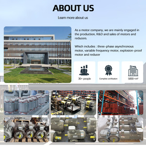 Innomotics Siemens 11Kw 15HP 4-Pole <span class=keywords><strong>AC</strong></span> đồng bộ động cơ điện ba giai đoạn 0cv3162b 1le0003-1db23-3aa4 3000rpm tốc độ định mức - Product Image 6